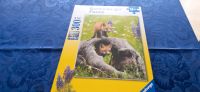 Puzzle von Ravensburger,  Tiermotiv, 300 Teile Rheinland-Pfalz - Kusel Vorschau