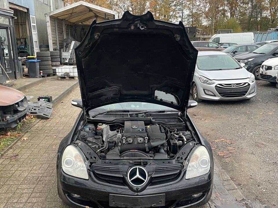 Schlachtfest Mercedes W171 SLK Motorhaube Kotflügel Stoßstange tü in Dorsten