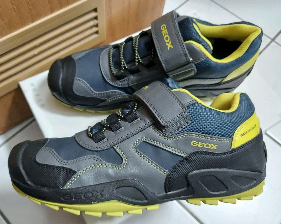 GEOX SNEAKER / SCHUHE, Gr. 38, superfit, NEU + ungetragen in Mülheim (Ruhr)