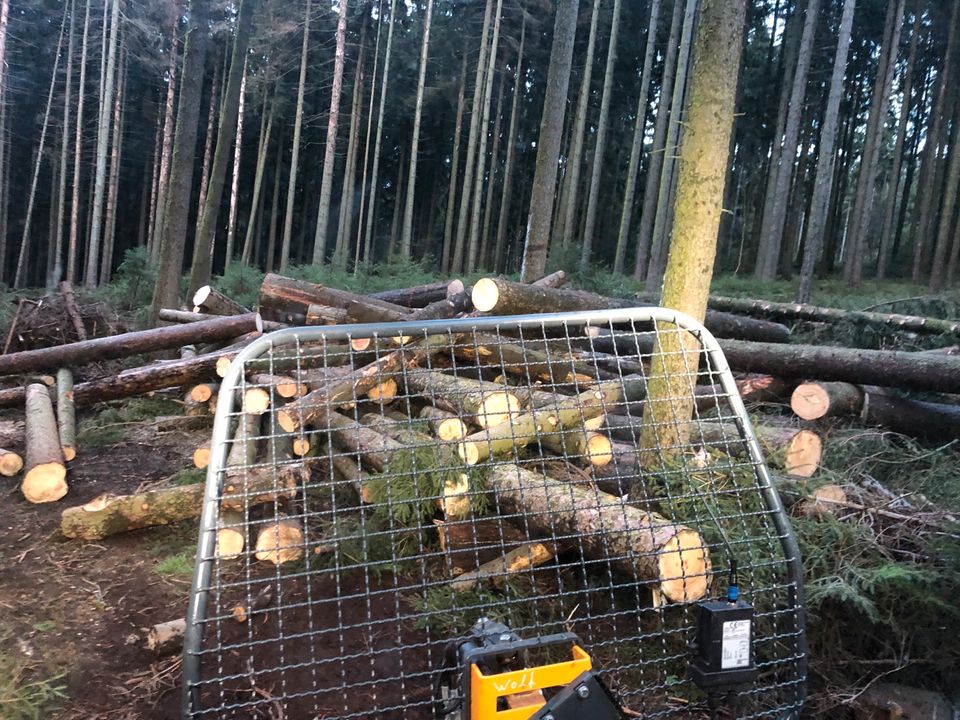 Sturmschadenbeseitigung, Baumfällung, Baumpflege, Entsorgung in Wolkenstein