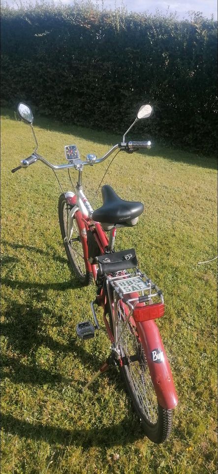 Beach Cruiser Fahrrad in Herford