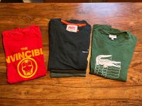 T-Shirts Lacoste,Superdry,Adidas Bochum - Bochum-Wattenscheid Vorschau