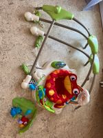 Fisher-Price Jumperoo Jungle Lauflernwagen für Babys Baden-Württemberg - Wilhelmsdorf Vorschau