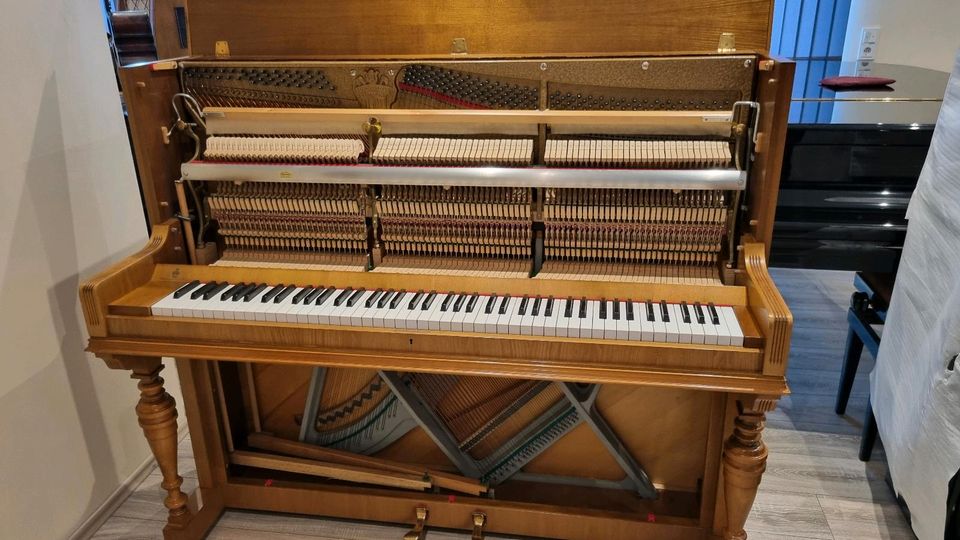 Steingraeber & Söhne Klavier/Piano, Modell 124/130, REDUZIERT in Altendorf