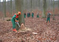 Motorsägenkurs Brennholzkurs in Peine Niedersachsen - Edemissen Vorschau