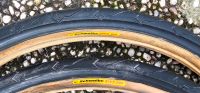 2x Schwalbe City Jet 1.95 skinwall MTB Retro Kult Schleswig-Holstein - Siebenbäumen Vorschau