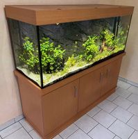 Emmel 450 Liter Süßwasser Aquarium mit Unterschrank und Zubehör Hessen - Niddatal Vorschau