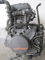 KTM 125 Duke Motor Sachsen - Treuen Vorschau