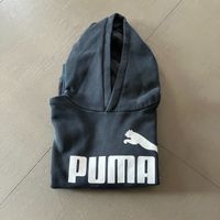 Hoodie Puma 152 Pullover Niedersachsen - Drage Vorschau