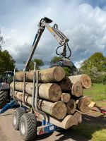 Stammholz / Brennholz - Buche Hessen - Hammersbach Vorschau