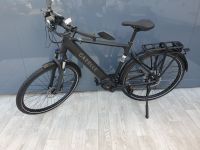 !!REDUZIERT!!  Gazelle Medeo Speed (S-Pedelec, Pendeln) Hessen - Darmstadt Vorschau