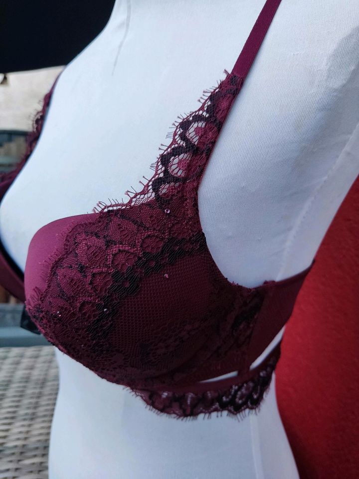 Hunkemöller BH lila spitze Push Up 70C in Mantel