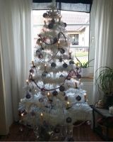 Weihnachtsbaum. Nordrhein-Westfalen - Dörentrup Vorschau