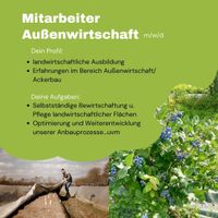 Job als landwirtschaftlicher Mitarbeiter, Landwirt Niedersachsen - Voltlage Vorschau