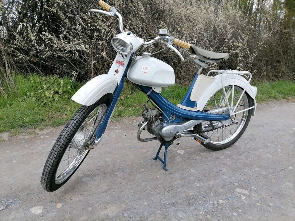 Suche Zündapp Hercules Kreidler Nsu Dkw Puch Mofa Moped in Iserlohn