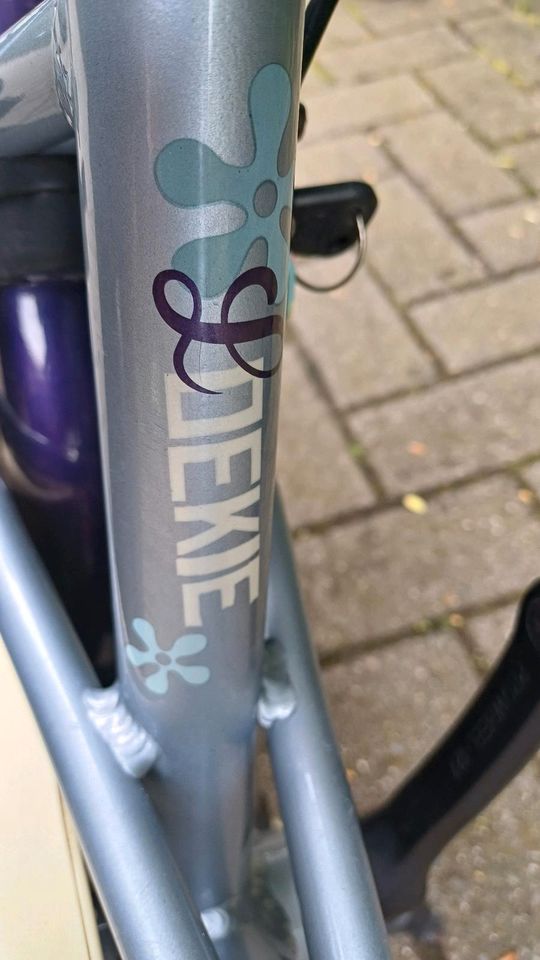 Mädchen Fahrrad ☆LOEKIE PRINZESSIN☆ 18 Zoll (gepflegtes Zustand) in Weener