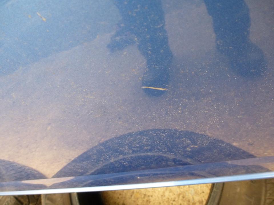 VW T4 Schiebetür rechts blau absolut kein Rost! in Gutenswegen