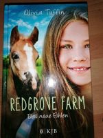 Redgrove Farm, das neue Fohlen, Sachsen - Zwickau Vorschau