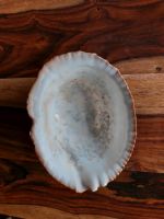 Natürliche Abalone Muschel, Perlmutt, Fossil, Schmuckschale Niedersachsen - Bohmte Vorschau