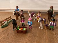 Playmobil Pony & Pferdeset Rheinland-Pfalz - Mainz Vorschau