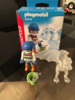 Playmobil 5374 Künstlerin mit eisskulptur Drache Bayern - Forchheim Vorschau