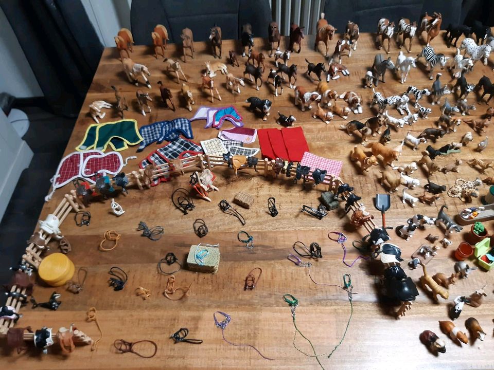 Riesen Schleich Sammlung in Homburg