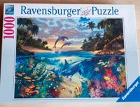 Puzzle 1000 Ravensburger Delfin Meer Unterwasser Korallenriffe Niedersachsen - Bad Harzburg Vorschau