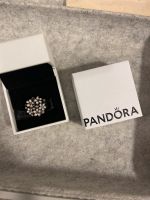 Pandora Ring in Gr 50 Silber Niedersachsen - Salzgitter Vorschau