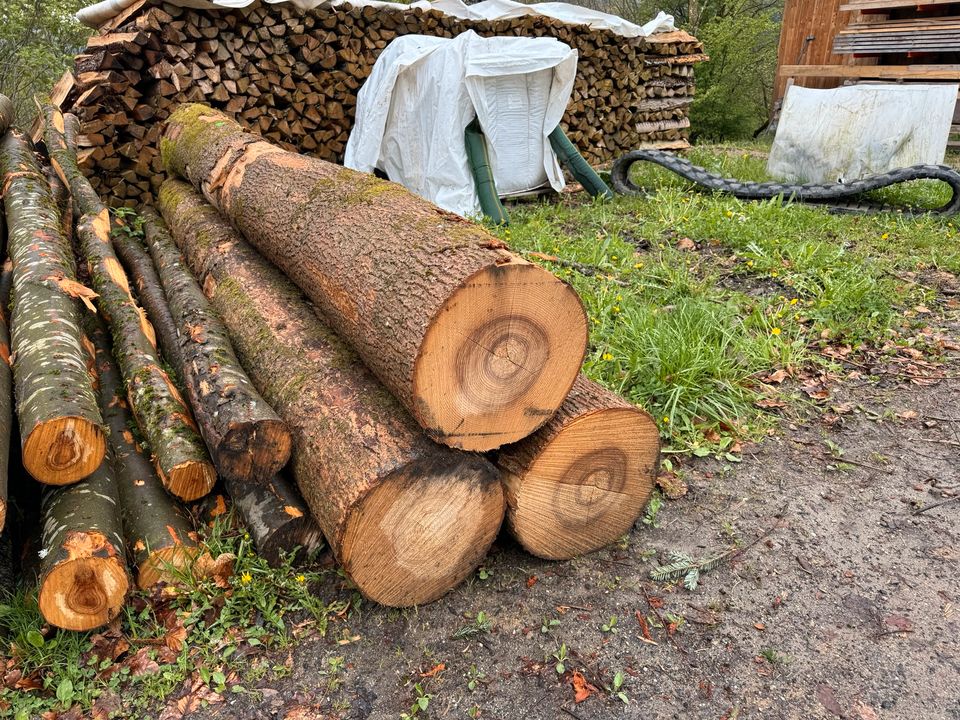 Holz Schreinerholz Möbelholz Schnittware Drechselholz in Freyung