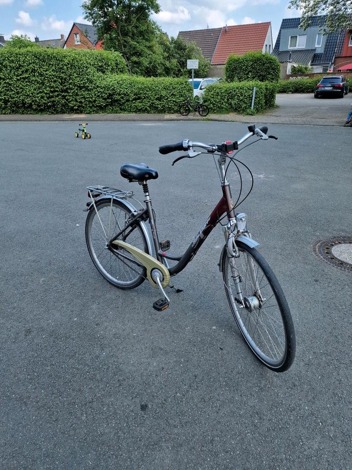 Damen Fahrrad in Steinfurt