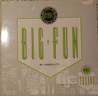 Inner City - Big fun Maxi Vinyl (1988) Virgin Essen - Essen-Borbeck Vorschau