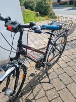 Damenfahrrad Nordrhein-Westfalen - Willebadessen Vorschau