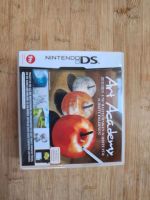 Nintendo DS Art Academy Niedersachsen - Verden Vorschau