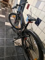 BULLS Fahrrad zu verkaufen Nordrhein-Westfalen - Langenfeld Vorschau