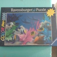 Seltsame Ravensburger Puzzle 1000 teilig *Rarität* Baden-Württemberg - Friedrichshafen Vorschau