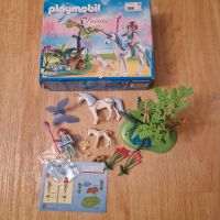 Playmobil 5450 Fairies Fee & Einhörner Niedersachsen - Braunschweig Vorschau