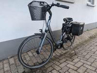 Koga Miyata Damen E-Bike Rücktritt 500Wh Akku Standort Oldenburg Niedersachsen - Friesoythe Vorschau