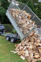 8SRM Feuerholz trocken ab 45€/srm Lieferung kostenfrei Brennholz Sachsen - Löbau Vorschau
