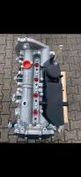 Fabrik NEUER Motor Fiat Ducato 2,3L F1AE3481D mit Ölpum. ,Wasserp Nordrhein-Westfalen - Neuss Vorschau