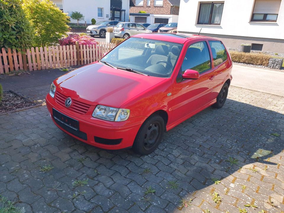 VW Polo 6n 1,4l in Rinteln