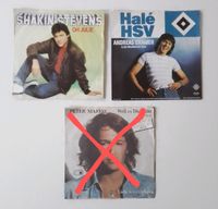 Single Schallplatten Vinyl Evergreens Oldies Schleswig-Holstein - Groß Wittensee Vorschau