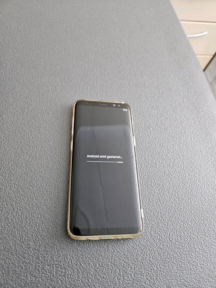 Samsung Galaxy S8 in Efringen-Kirchen