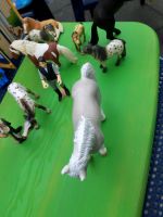 Schleich Pferde Kreis Pinneberg - Klein Nordende Vorschau