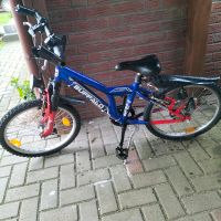 Jungen Fahrrad 20 Zoll Schleswig-Holstein - Wankendorf Vorschau