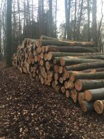 Suche Stammholz Brennholz Kaminholz Hartholz Nadelholz Weichholz Dortmund - Benninghofen Vorschau