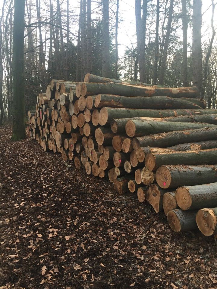 Suche Stammholz Brennholz Kaminholz Hartholz Nadelholz Weichholz in Dortmund