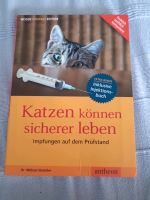 Katzen können sicherer leben Kreis Pinneberg - Wedel Vorschau