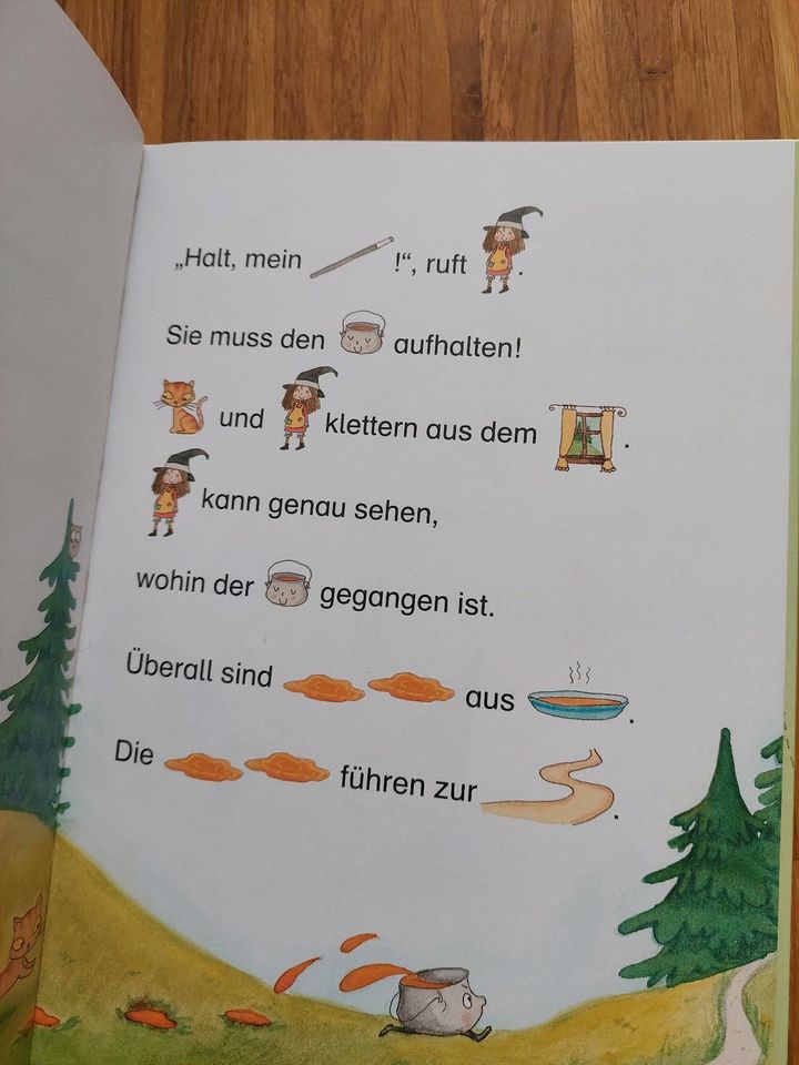 Erstleser Bücher Klasse 1 Tiergeschichten Kleine Wirbelhexe Lexa in Gerlingen