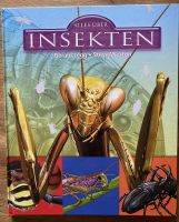 Alles über Insekten - Gerald Legg / Steve Weston Hessen - Neukirchen Vorschau