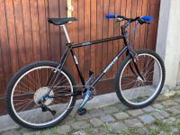 Wheeler ProLine 3000 Restomod Retro Vintage MTB 1x11 Stuttgart - Stuttgart-West Vorschau